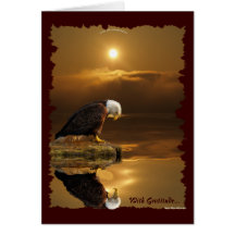 Bald Eagle Gratitude Greeting Card