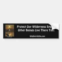 Bald Eagle GRATITUDE Series Bumper Sticker