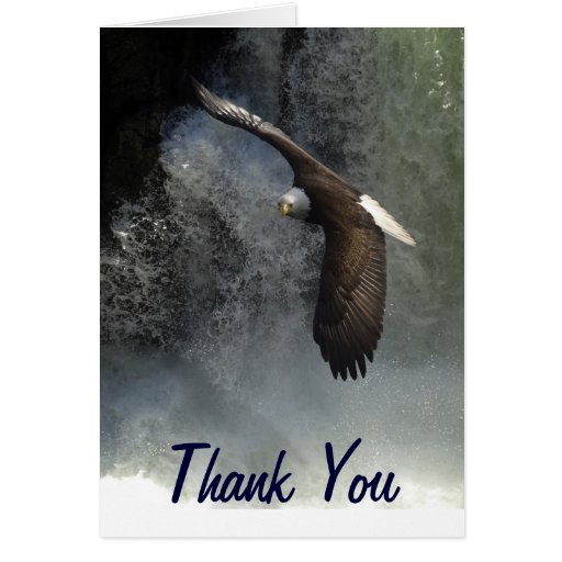 Bald Eagle Greeting Cards