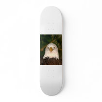 Bald Eagle Head On photograph design Skateboards