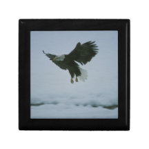 bald eagle in flight gift box