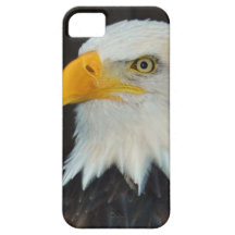 Bald Eagle iPhone 5 Cover