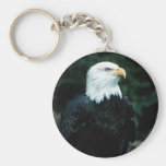 Bald Eagle Key Chain