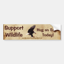 BALD EAGLE Landing Wildlife Support Bumper Sticker