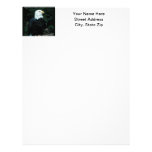 Bald Eagle Letterhead