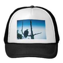 Bald Eagle Mesh Hat