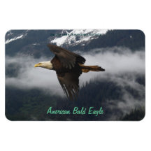 Bald Eagle & Misty Forest Wildlife Flexi Magnet