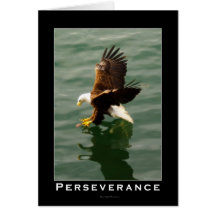 Bald Eagle Motivational Gift Greeting Cards