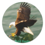 Bald Eagle Motivational Gift Stickers
