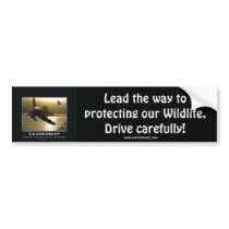 Bald Eagle Motivational Gifts Bumper Sticker