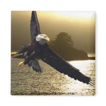 Bald Eagle Motivational Gifts Magnets