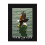 Bald Eagle Motivational Postcards