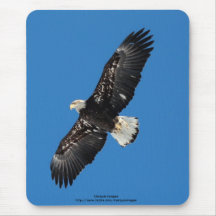Bald Eagle Mouse Pad