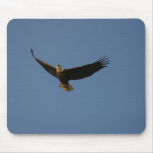 Bald Eagle Mouse Pads