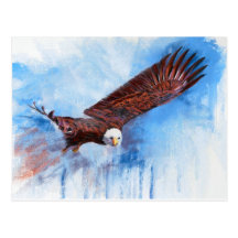 Bald Eagle Post Card