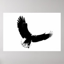 Bald Eagle Poster Print - American Eagles Posters