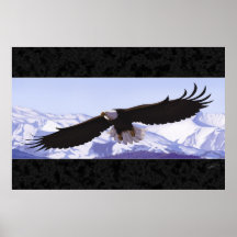 Bald Eagle Posters