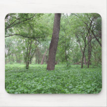 Bald Eagle Preserve Mousepad