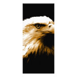 Bald Eagle Rack Card