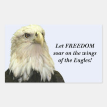 Bald Eagle Rectangle Sticker