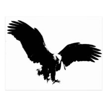 Bald Eagle Silhouette Post Cards