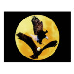 Bald eagles and full moon postcard