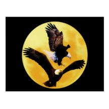 Bald eagles and full moon postcard