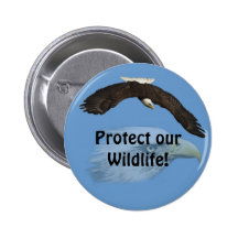 Bald Eagles Flight Photography Series Buttons