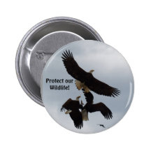 Bald Eagles Flight Photography Series Buttons