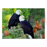 Bald Eagles Greeting Cards