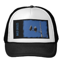Bald Eagles Hats