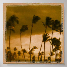 Baldwin Beach Palms. Poster