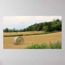 Bales of hay print