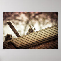 bali indonesia monkeys overlook mischief print