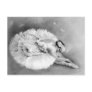 Ballerina Dying Swan Postcard