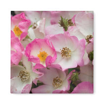Ballerina Rose Magnet