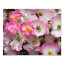 Ballerina Rose Photo Print