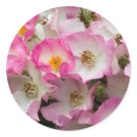 Ballerina Rose Stickers