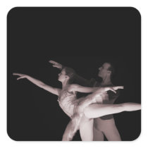 Ballet - Dance Partners 2 - Red