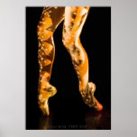 Ballet Dancer Poster-4653 posters