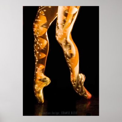 Ballet Dancer Poster-4653 by vjpablo