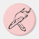 Ballet Shoes Magic Sketch Magnets