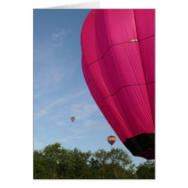Balloon, in the pink 2 xlta