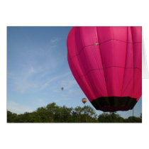 Balloon, in the pink 2 xlta