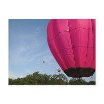 Balloon, in the pink 2 xlta
