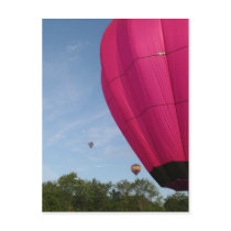 Balloon, in the pink 2 xlta