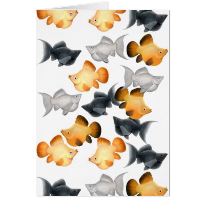 Balloon Mollies Aquarium Fish Card by twopurringcats