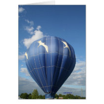 Balloon!  Seagulls flying