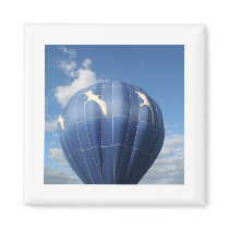 Balloon!  Seagulls flying