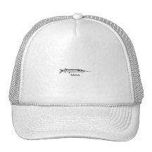 Ballyhoo (titled) trucker hat